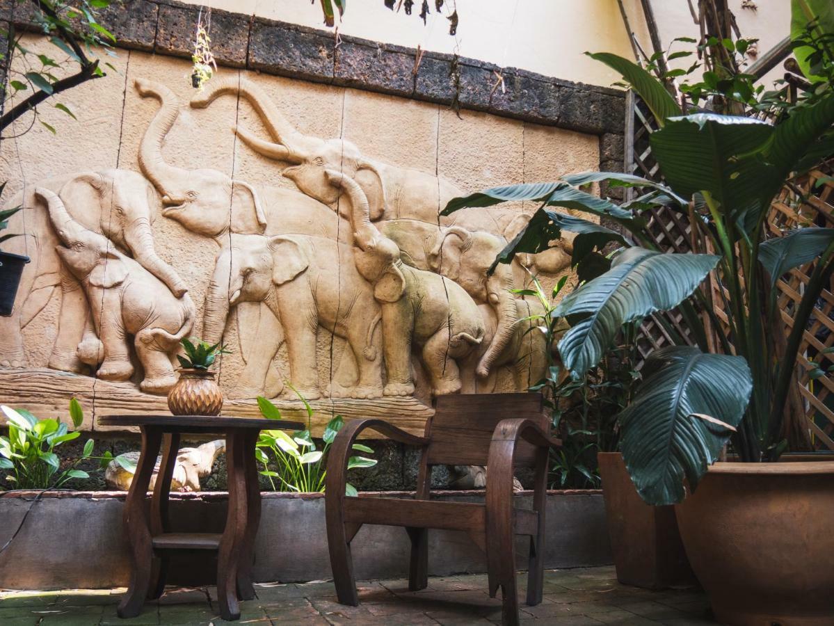 Cool Guesthouse Čiang Mai Exteriér fotografie
